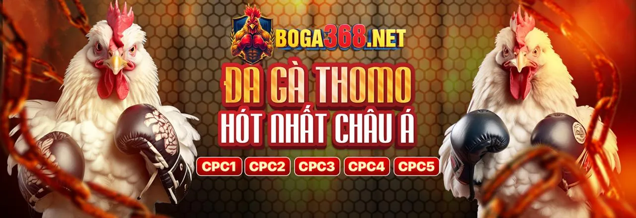 Sân vận động đầy ắp khán giả với logo 8 days nổi bật, thể hiện không khí cá cược thể thao sôi động tại Việt Nam