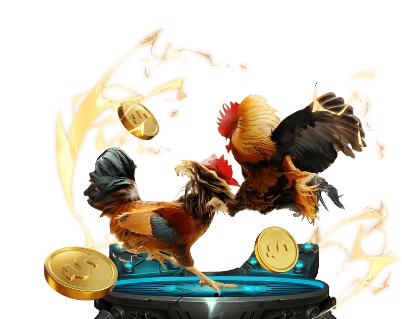 Thời điểm vàng và tần suất đặt cược hiệu quả